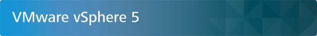 VMware vSphere 5
